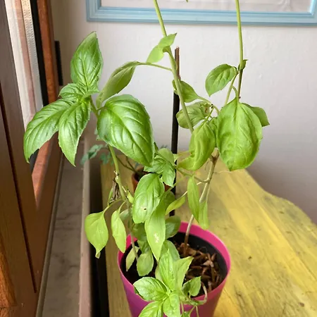 Occhj A Mari Bed & Breakfast Santa Teresa Gallura